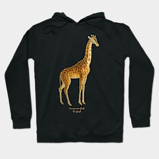 Giraffe Hoodie